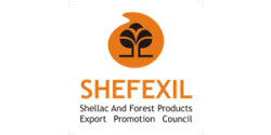 shefexil-logo.png